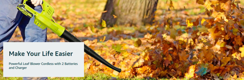LAZYBOI Leaf Blower official site